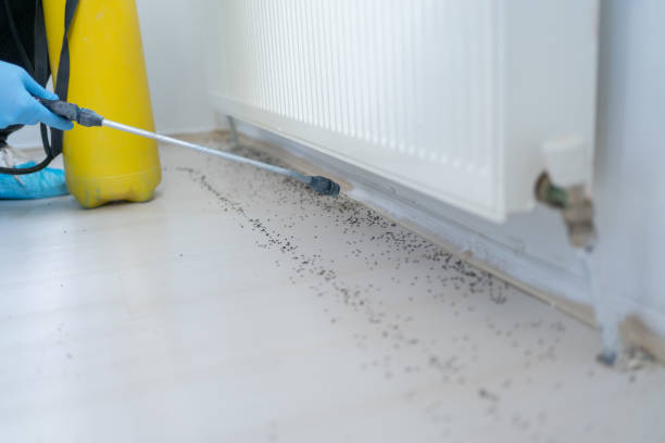  New Hyde Park, NY Pest Control Pros